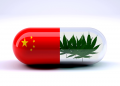 The Large, Strange History of Cannabis in China