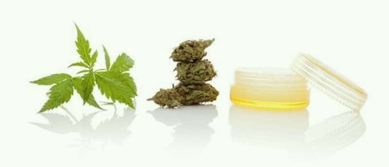 Top 20 Best CBD Pain Relief Products of 2020
