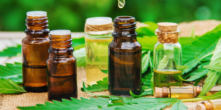 Importance of CBD Oil Products in Marketing
