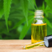 Difference Between Copaiba Oil vs CBD Oil